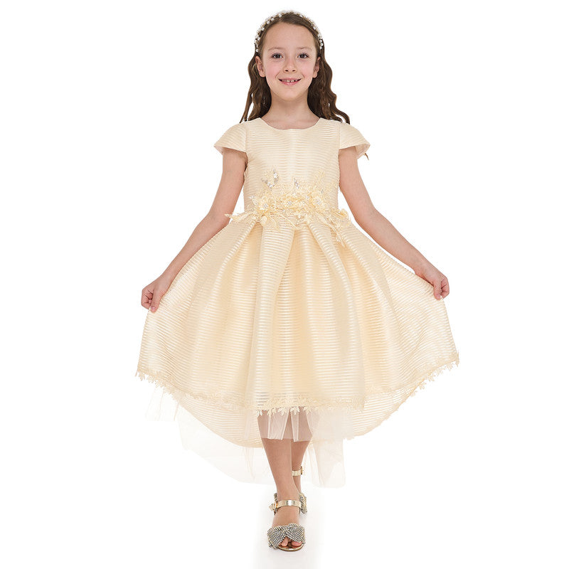 Girls Champange High Low Tail Dress With 3D Applique