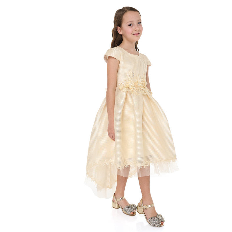Girls Champange High Low Tail Dress With 3D Applique