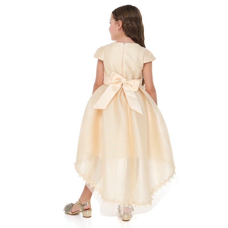 Girls Champange High Low Tail Dress With 3D Applique