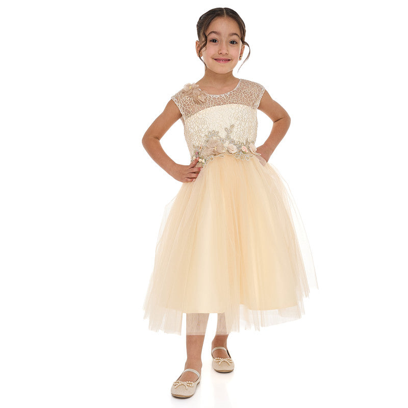 Champagne Lace And Tulle Dress