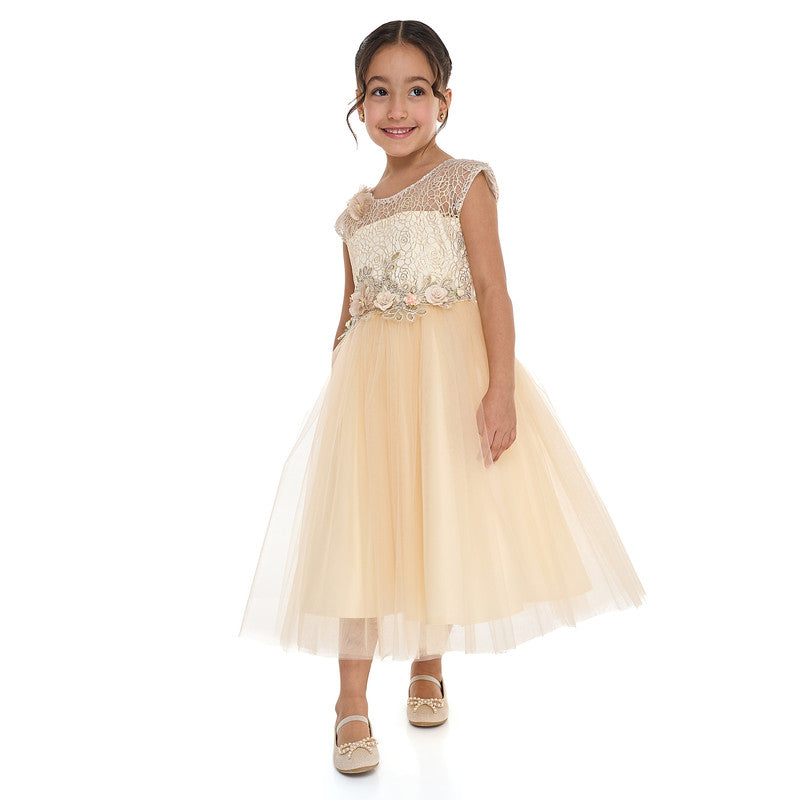 Champagne Lace And Tulle Dress