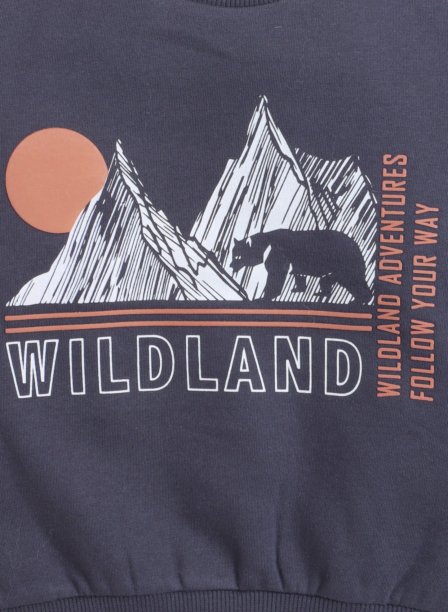 Boys Wildland Fleece Tracksuit – Grey 2-Piece Set