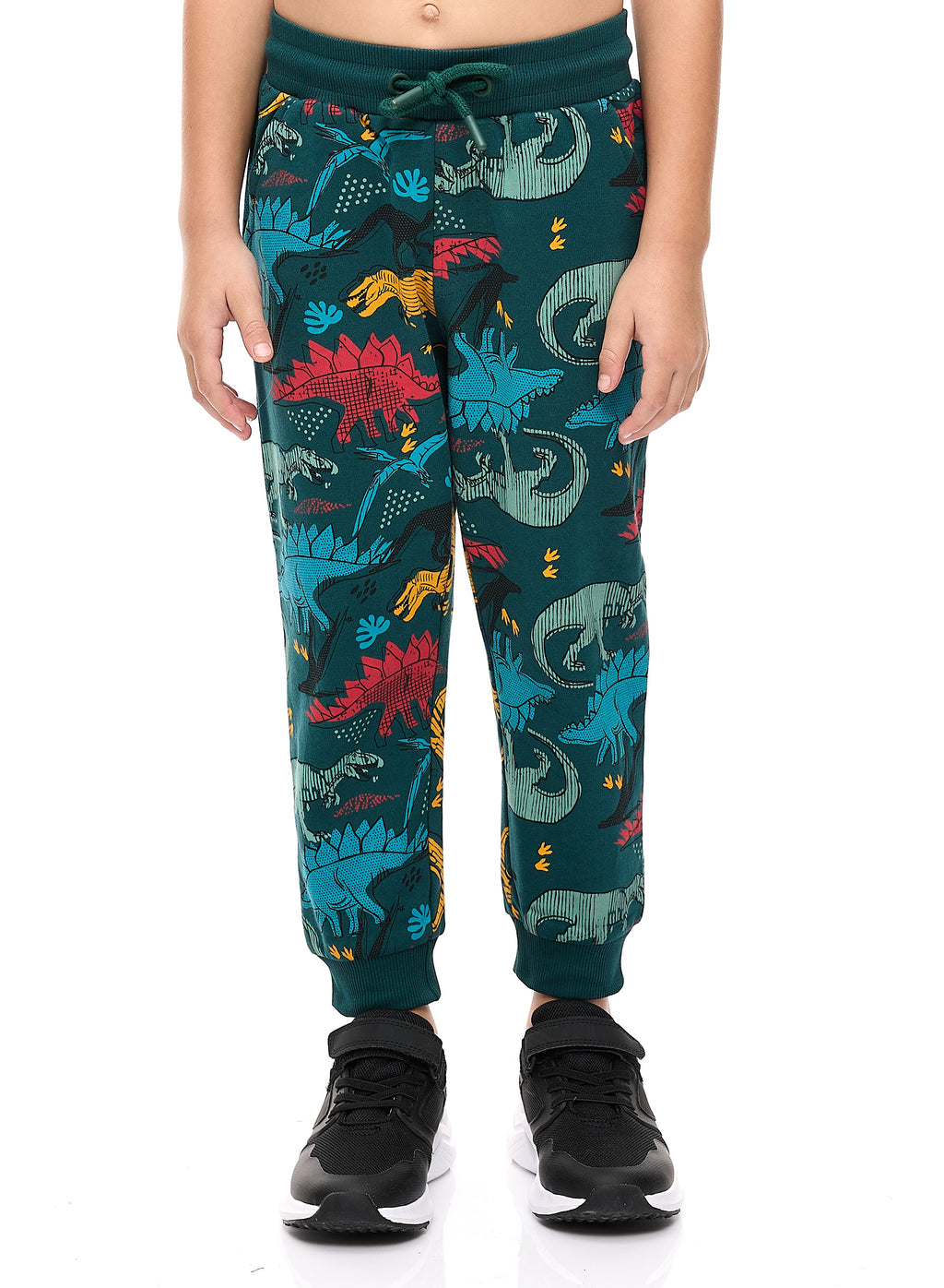 Boys' 2-Piece Printed Dinosaur Hoodie And Jogger Set