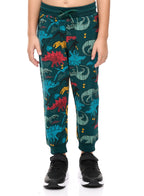 Boys' 2-Piece Printed Dinosaur Hoodie And Jogger Set