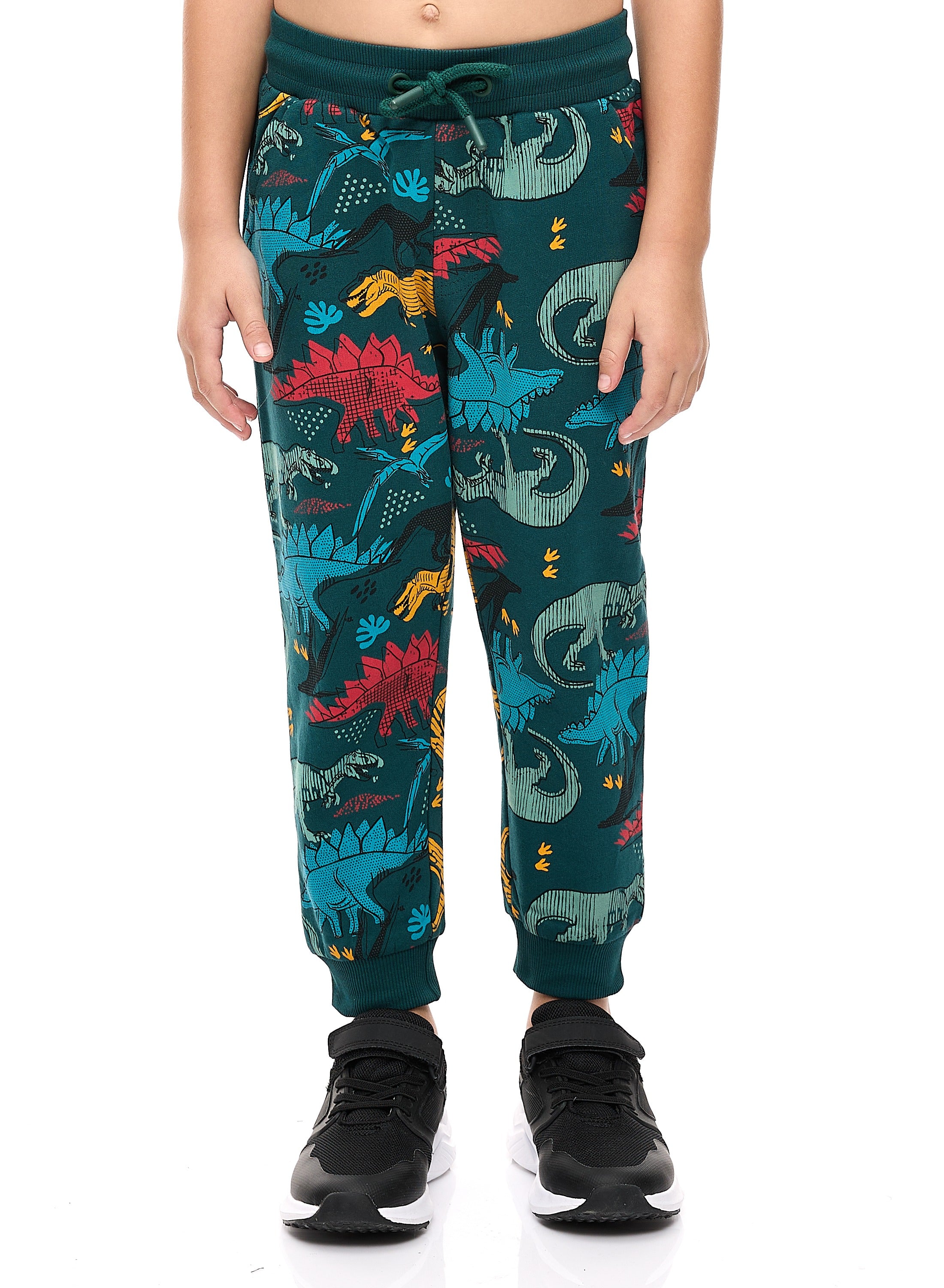 Boys' 2-Piece Printed Dinosaur Hoodie And Jogger Set
