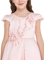 Peach High Low Tail Dress With Beaded Embroidery