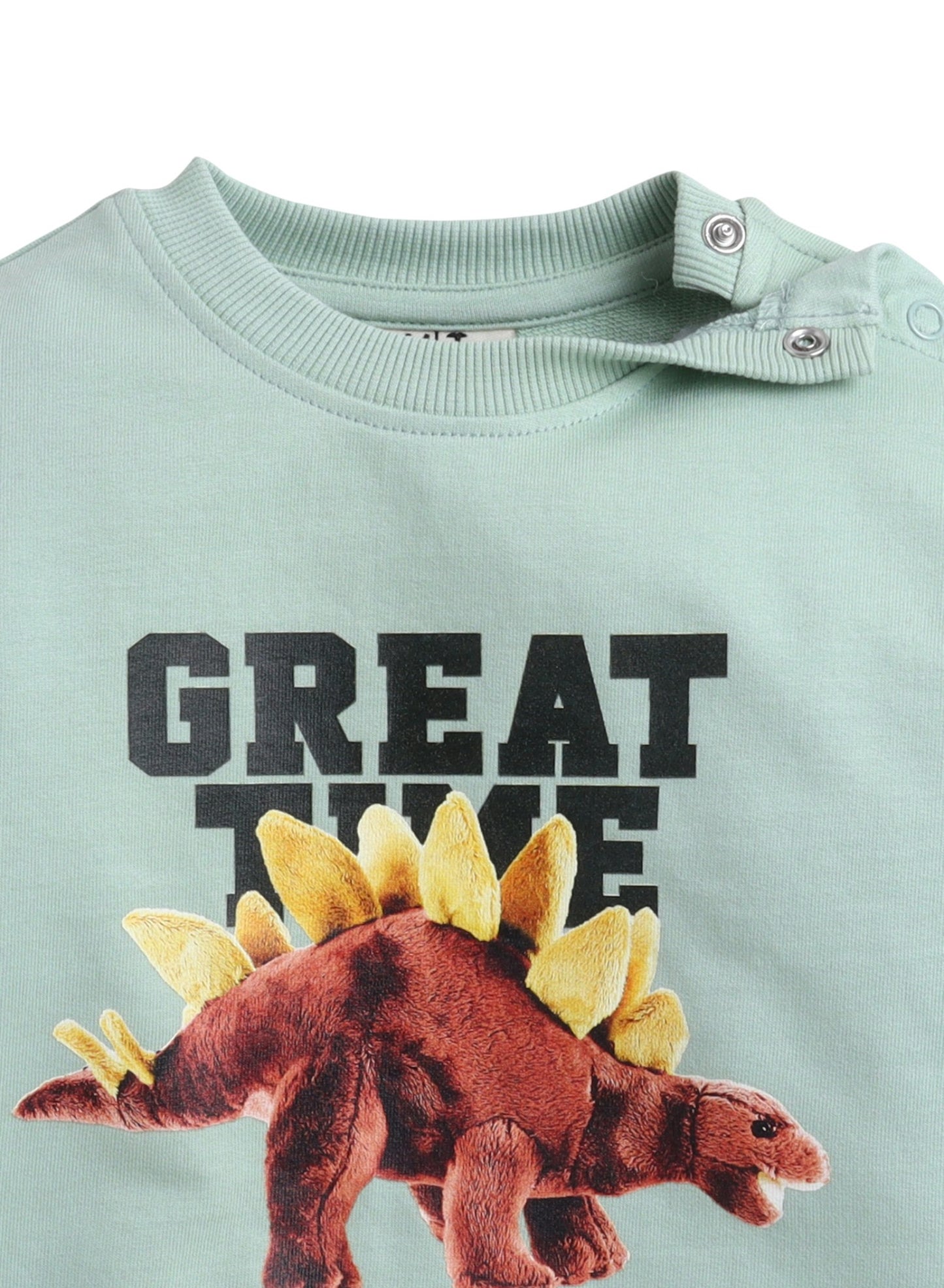 Baby Boys’ 2-Piece Set – “Jurassic Days” Dinosaur Sweatshirt & Joggers Set