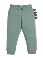 Baby Boys 2Pc Sweatshirt Set