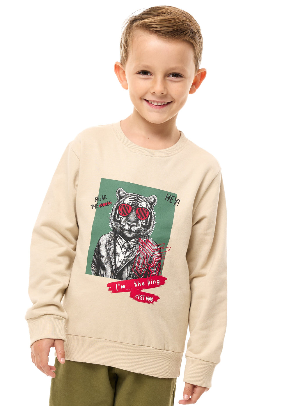 Boys Sweat-Shirt Beige-Olive