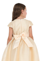 Girls Champange High Low Tail Dress With 3D Applique