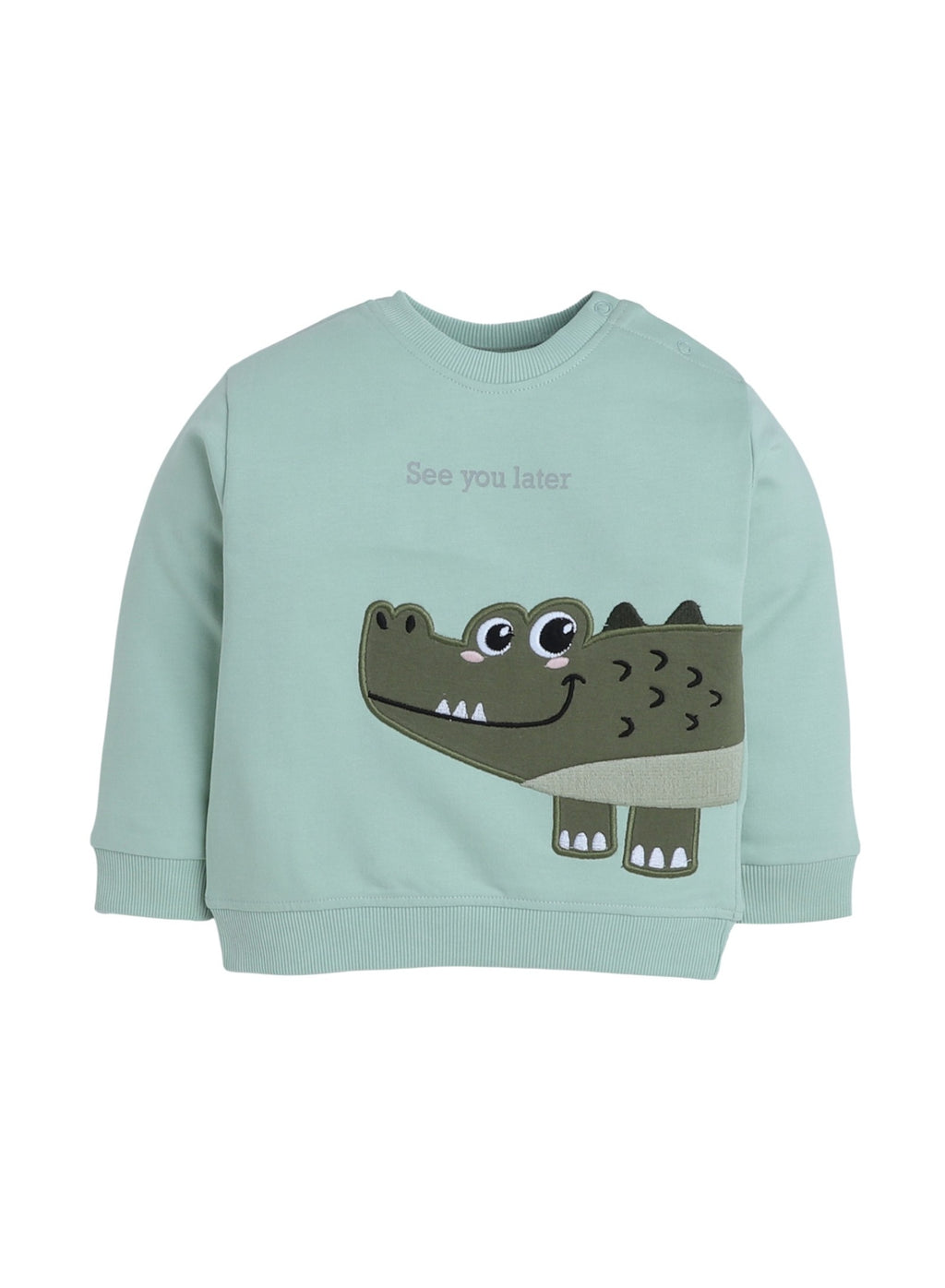 Baby Boys 2Pc Sweatshirt Set