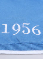 Senior Boys' Polo T-Shirt “ Blue Colour With Embroidered Label Detail