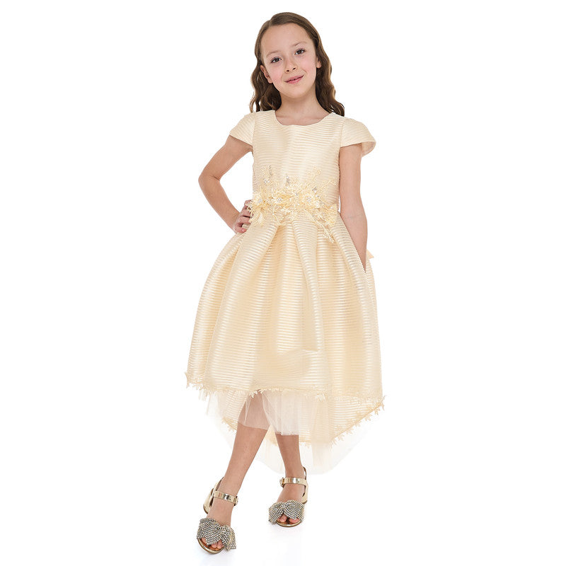 Girls Champange High Low Tail Dress With 3D Applique