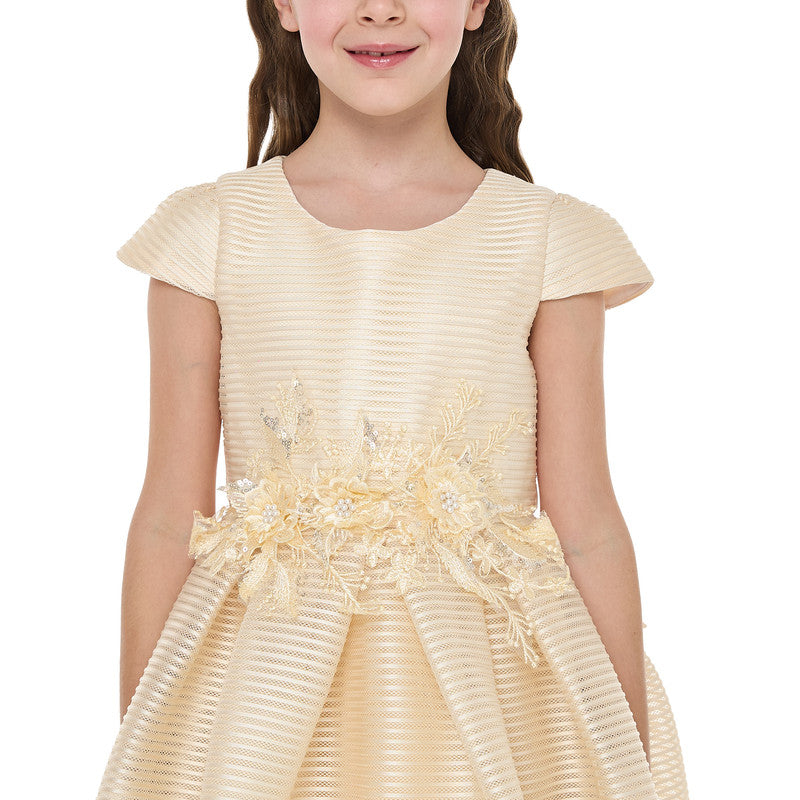 Girls Champange High Low Tail Dress With 3D Applique