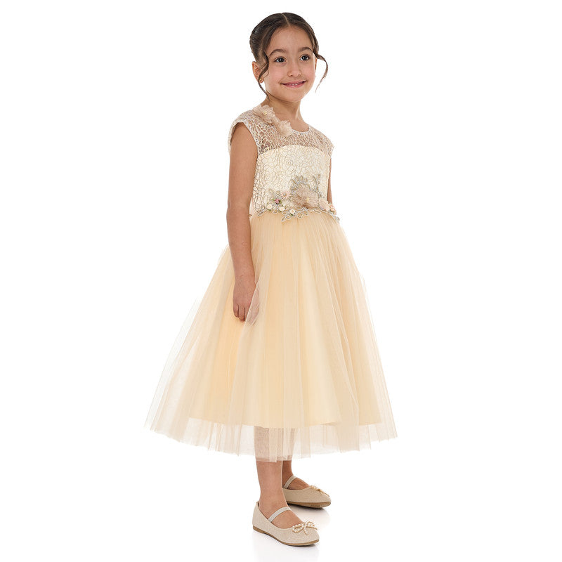 Champagne Lace And Tulle Dress