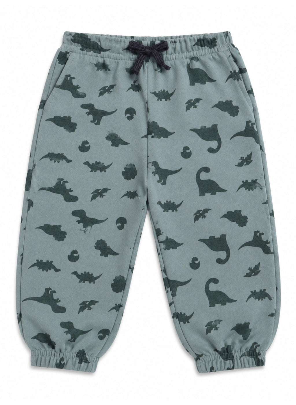 Baby Boys Dinosaur Print Sweatshirt & Jogger Set