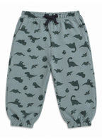 Baby Boys Dinosaur Print Sweatshirt & Jogger Set
