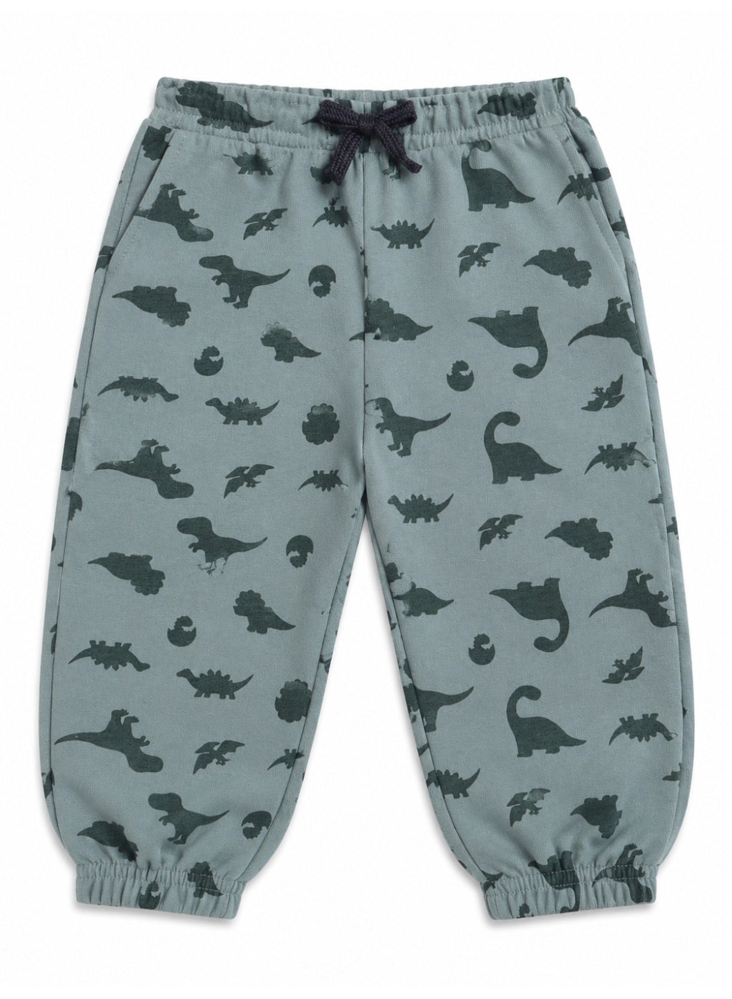 Baby Boys Dinosaur Print Sweatshirt & Jogger Set
