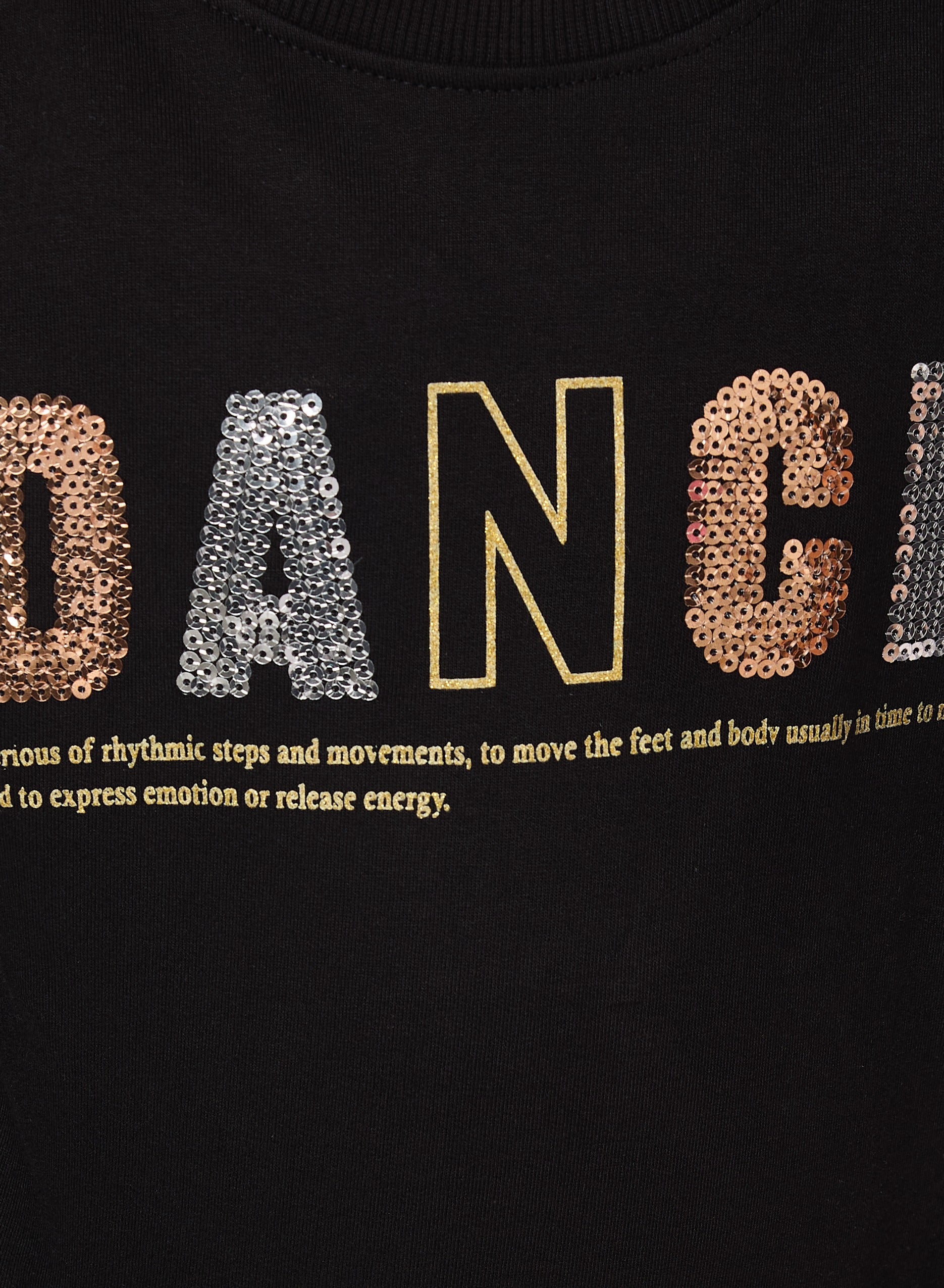 Sequins Embroidered Sweatshirt