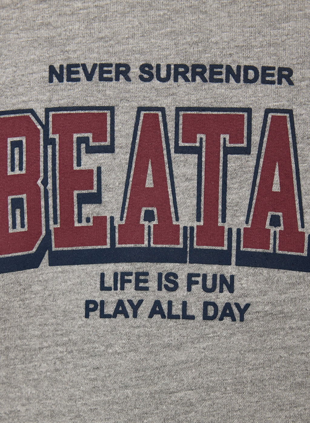 Boys' Sweatshirt  (8-14Yrs) Grey