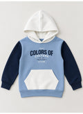 Boys Hoodie Sweatshirt and Jogger Pants Set