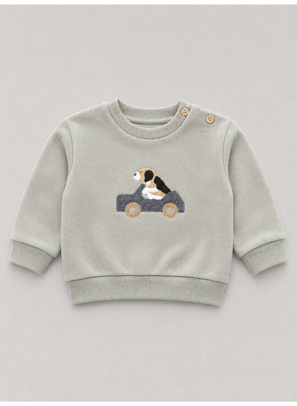 Boys 2-Piece Sweatshirt & Pants Set