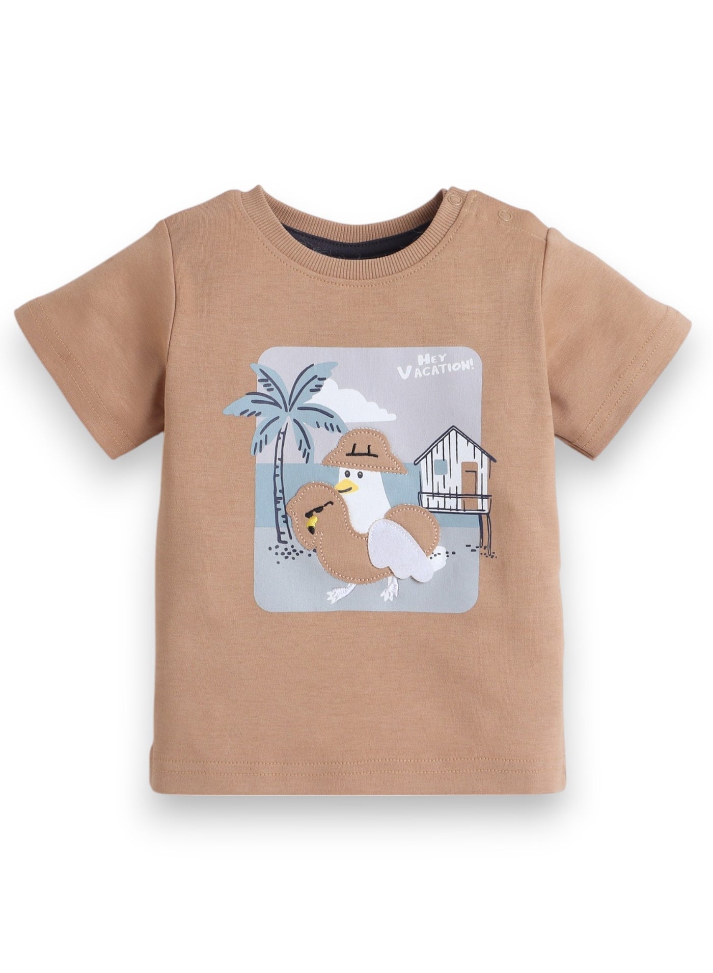 Baby Boys 2Pc Set - Brown T-Shirt And Matching Shorts Set