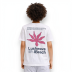 victor and jane boys white graphic t-shirt with pink starfish design and beach-themed text on the back