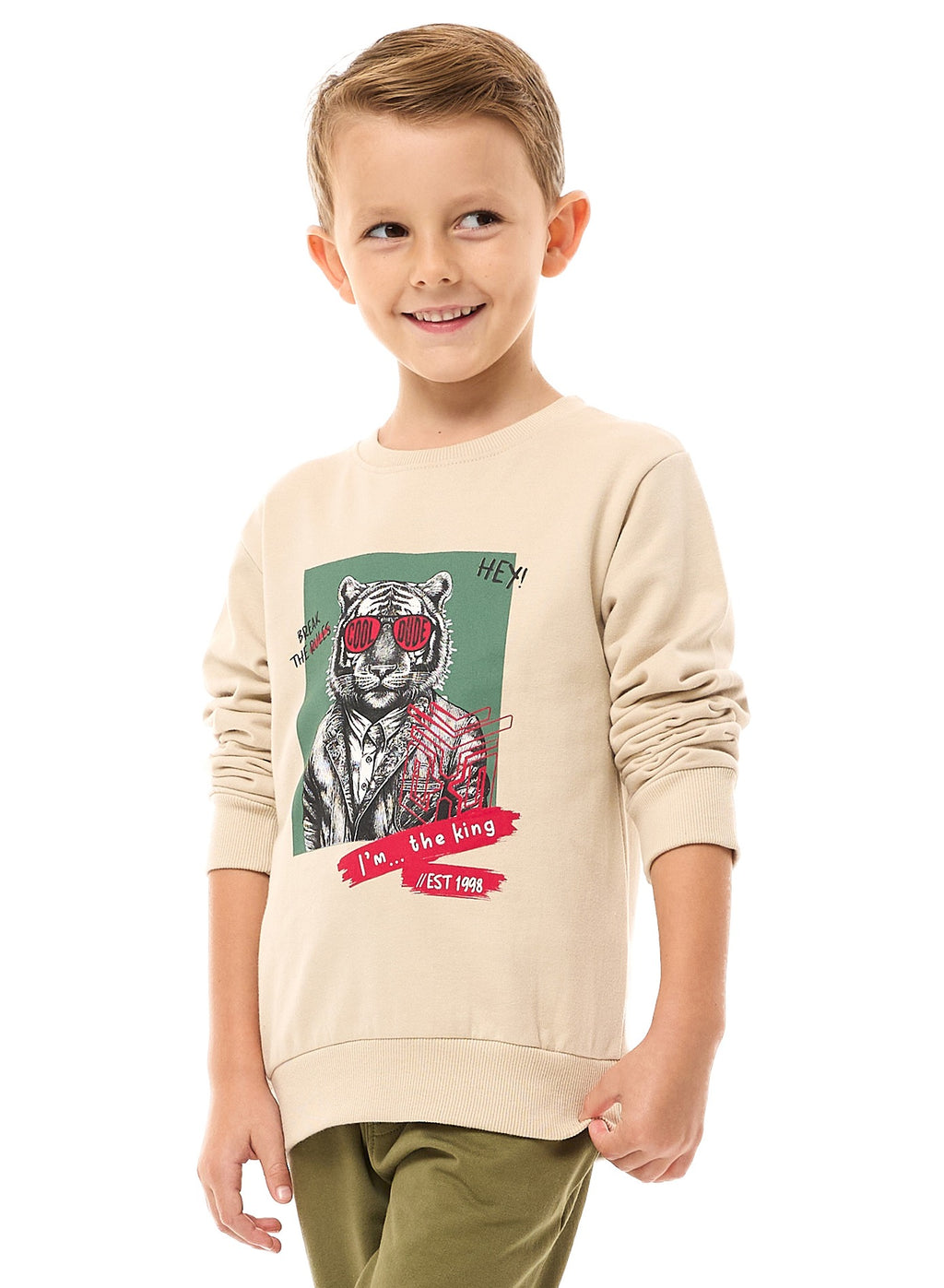 Boys Sweat-Shirt Beige-Olive