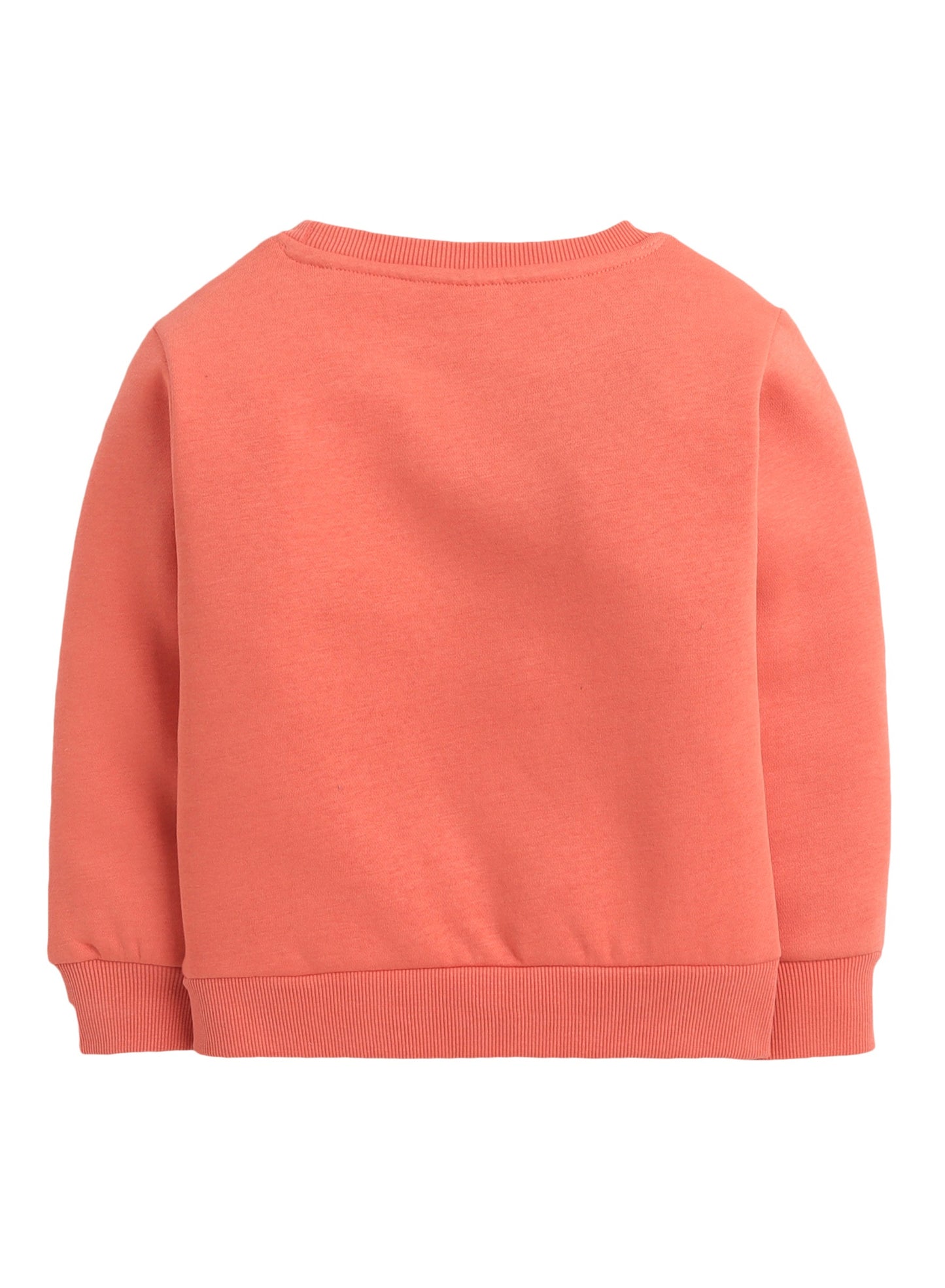 Boys' Coral "Skate All Day" Graphic Sweatshirt