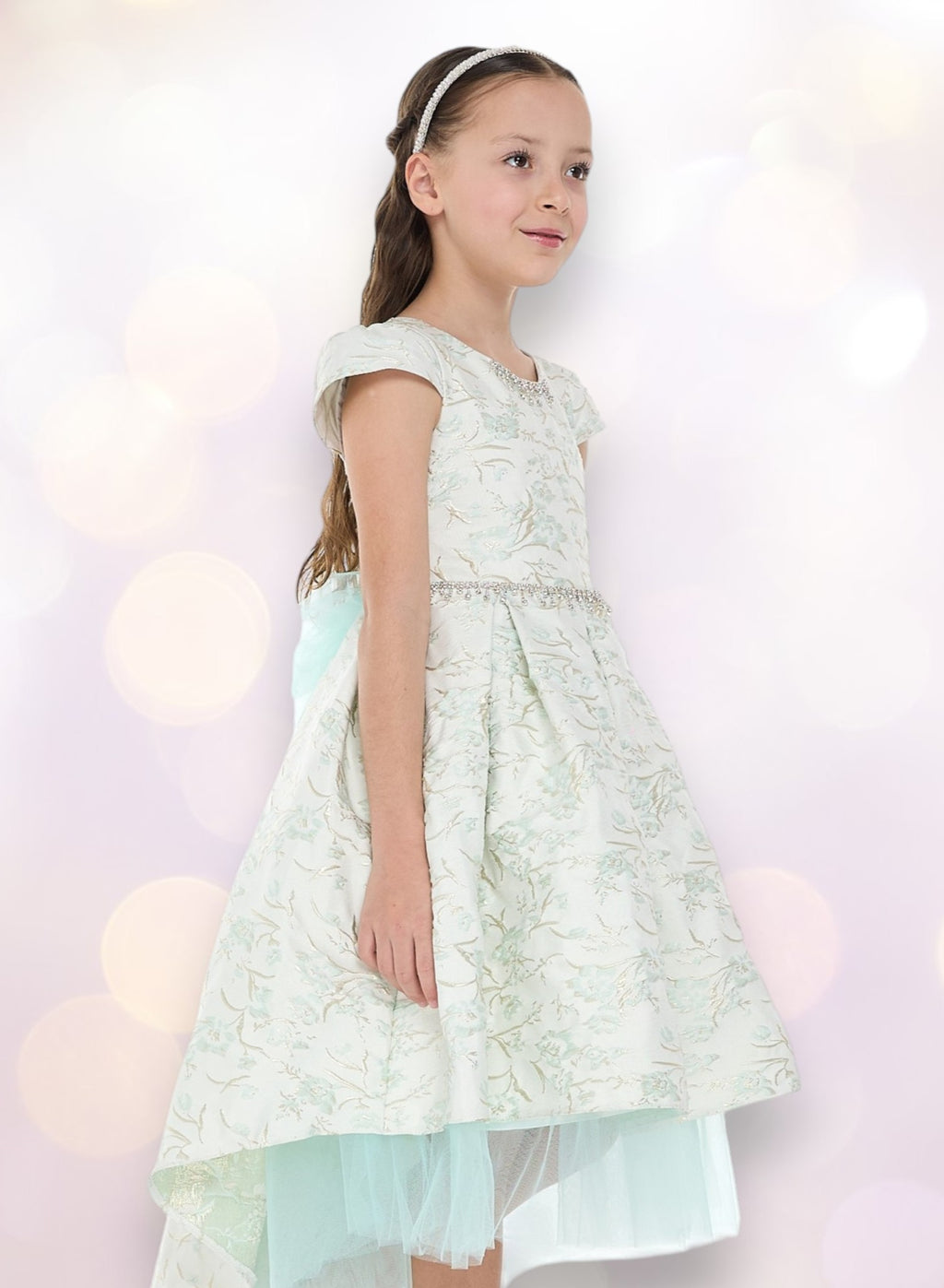 Mint Green/Gold Jacquard High Low Tail Dress With Tulle Mesh