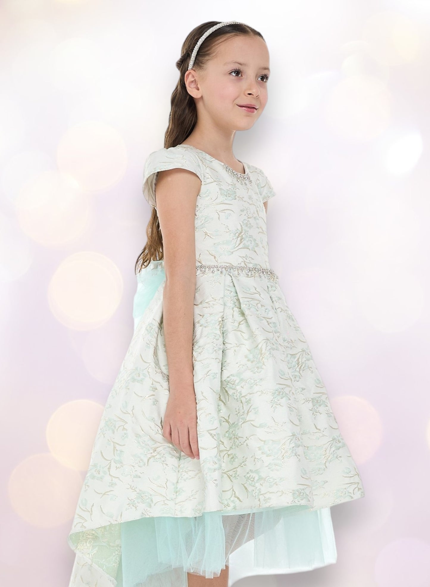 Mint Green/Gold Jacquard High Low Tail Dress With Tulle Mesh