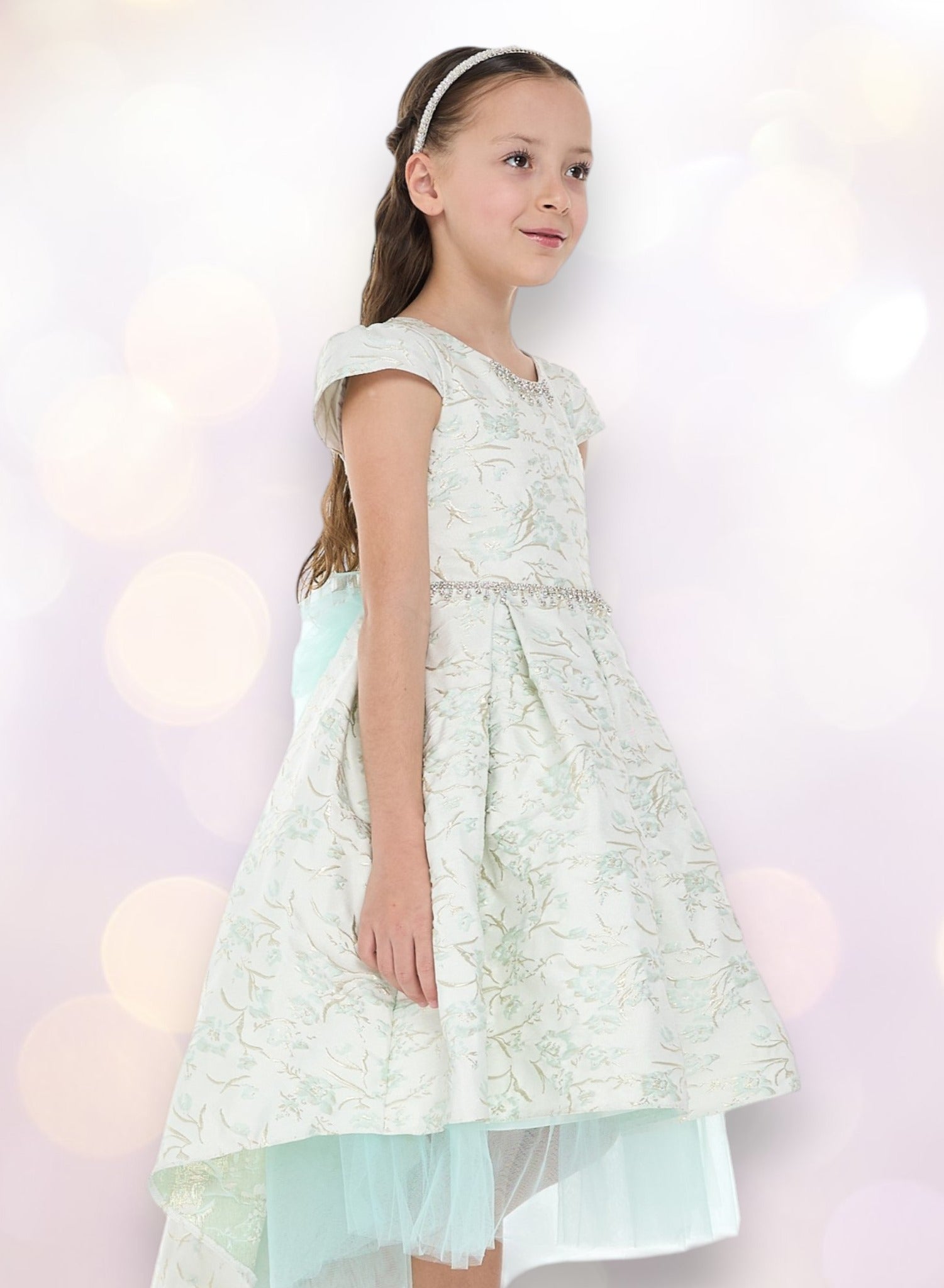 Mint Green/Gold Jacquard High Low Tail Dress With Tulle Mesh