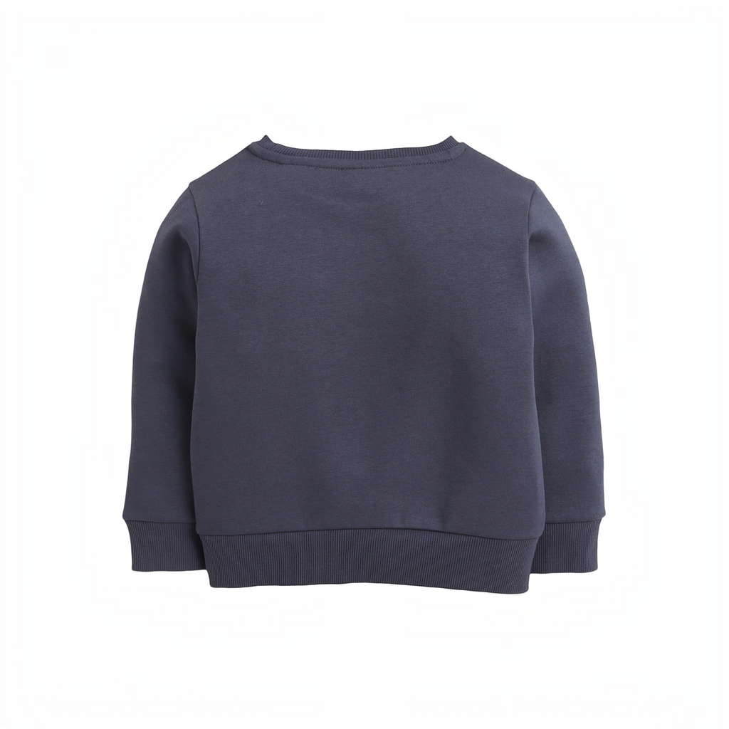 Back view of a grey cotton sweatshirt by victor and jane with ribbed cuffs and hem.