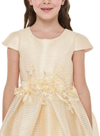 Girls Champange High Low Tail Dress With 3D Applique