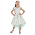Mint Green/Gold Jacquard High Low Tail Dress With Tulle Mesh