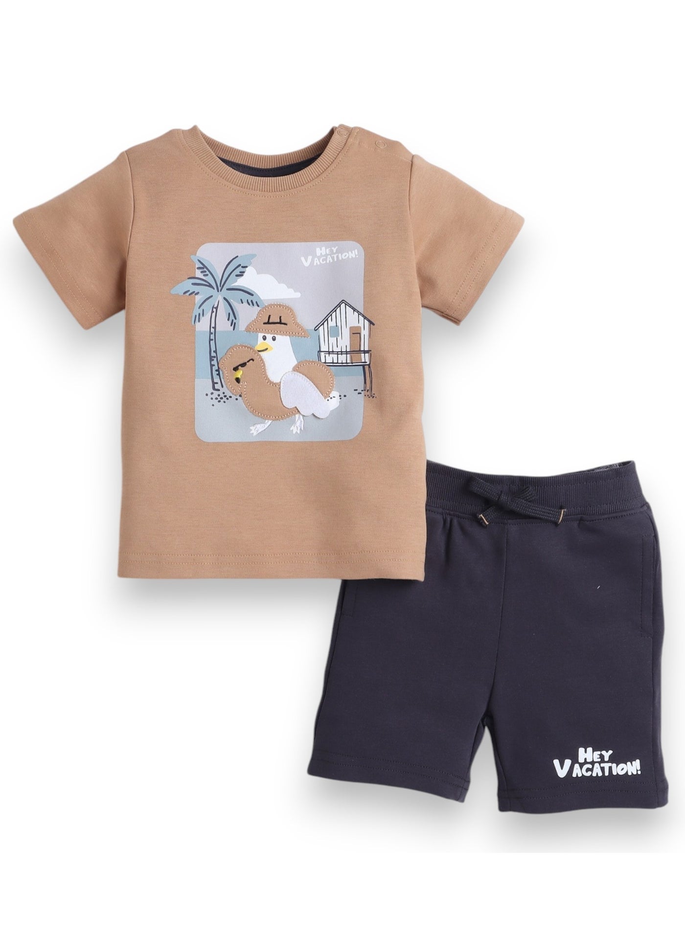 Baby Boys 2Pc Set - Brown T-Shirt And Matching Shorts Set