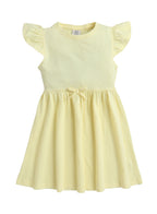 Ruffle Sleeve Dress