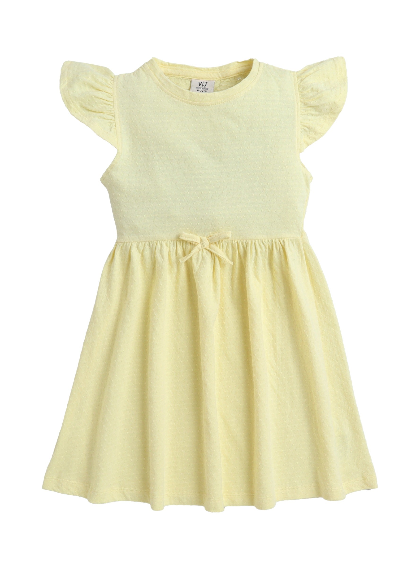 Ruffle Sleeve Dress