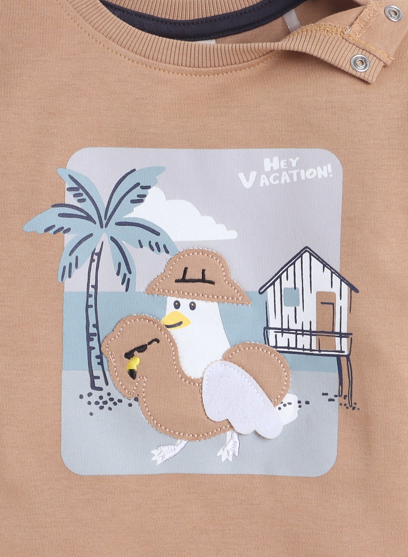 Baby Boys 2Pc Set - Brown T-Shirt And Matching Shorts Set