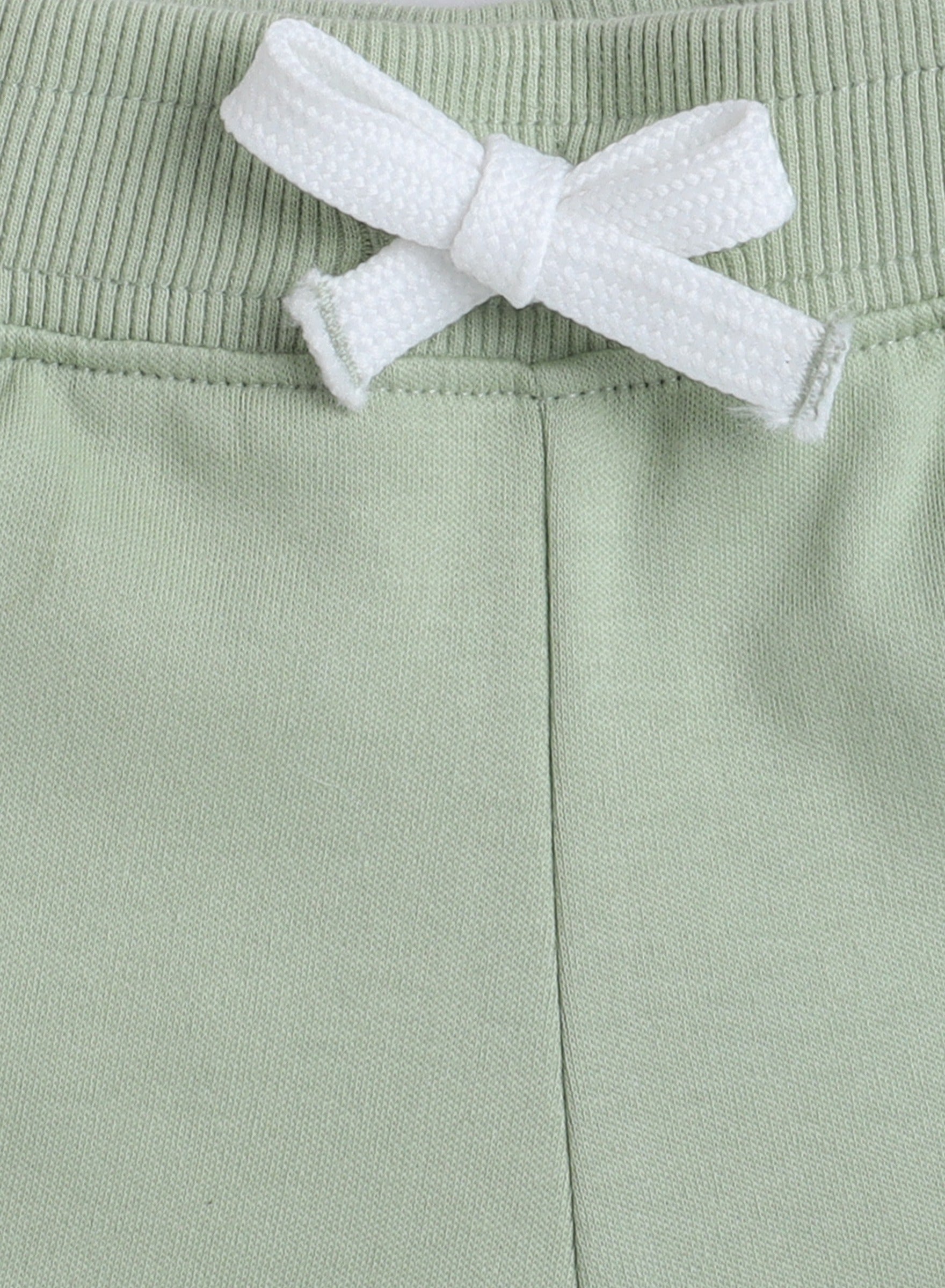 Victor And Jane Infant 2Pc Set, T-Shirt With Cute Cactus And Grey Shorts