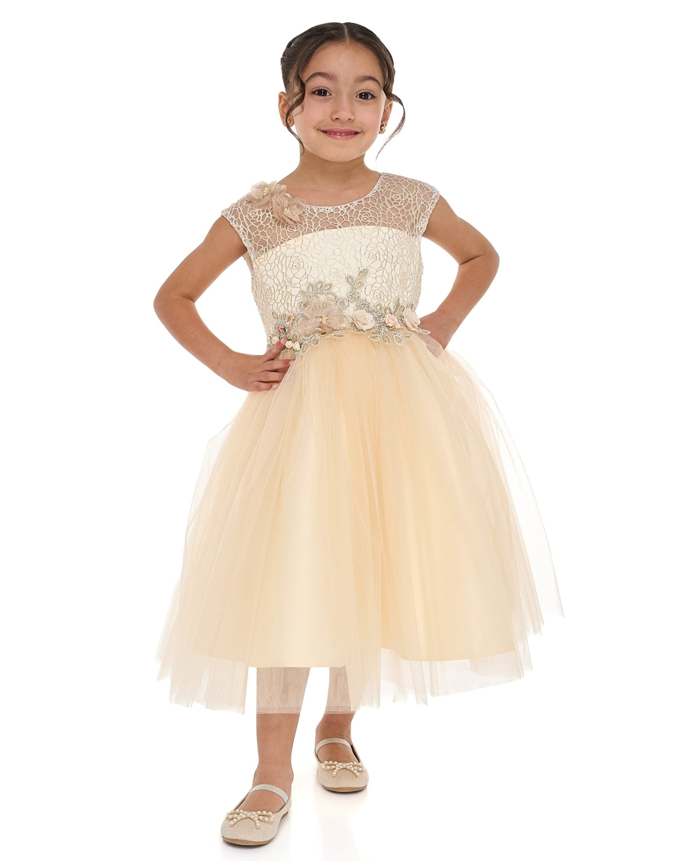 Champagne Lace And Tulle Dress