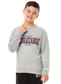 Boys' Sweatshirt  (8-14Yrs) Grey