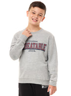 Boys' Sweatshirt  (8-14Yrs) Grey