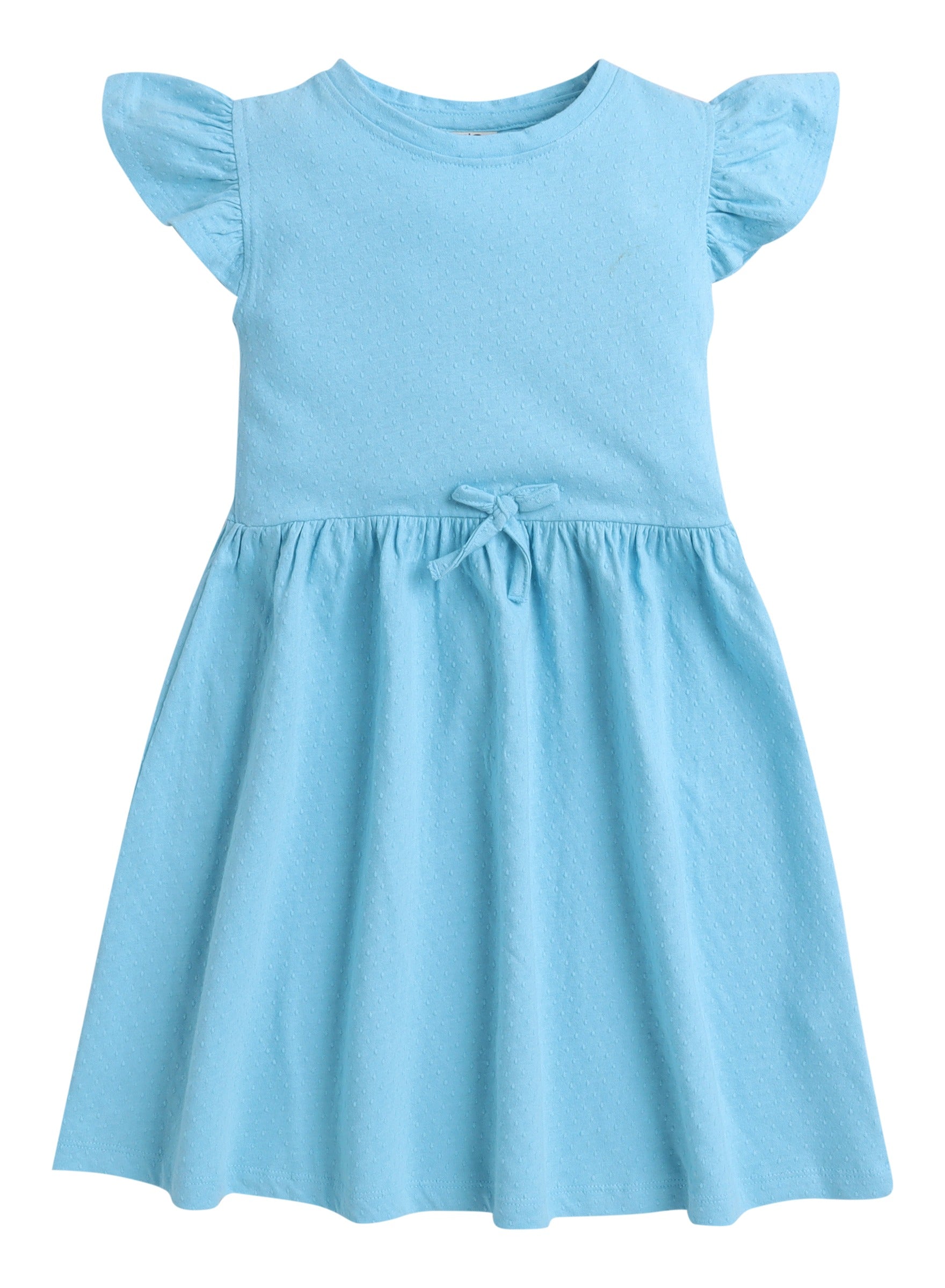 Ruffle Sleeve Dress