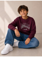 Boys’ Graphic Pullover