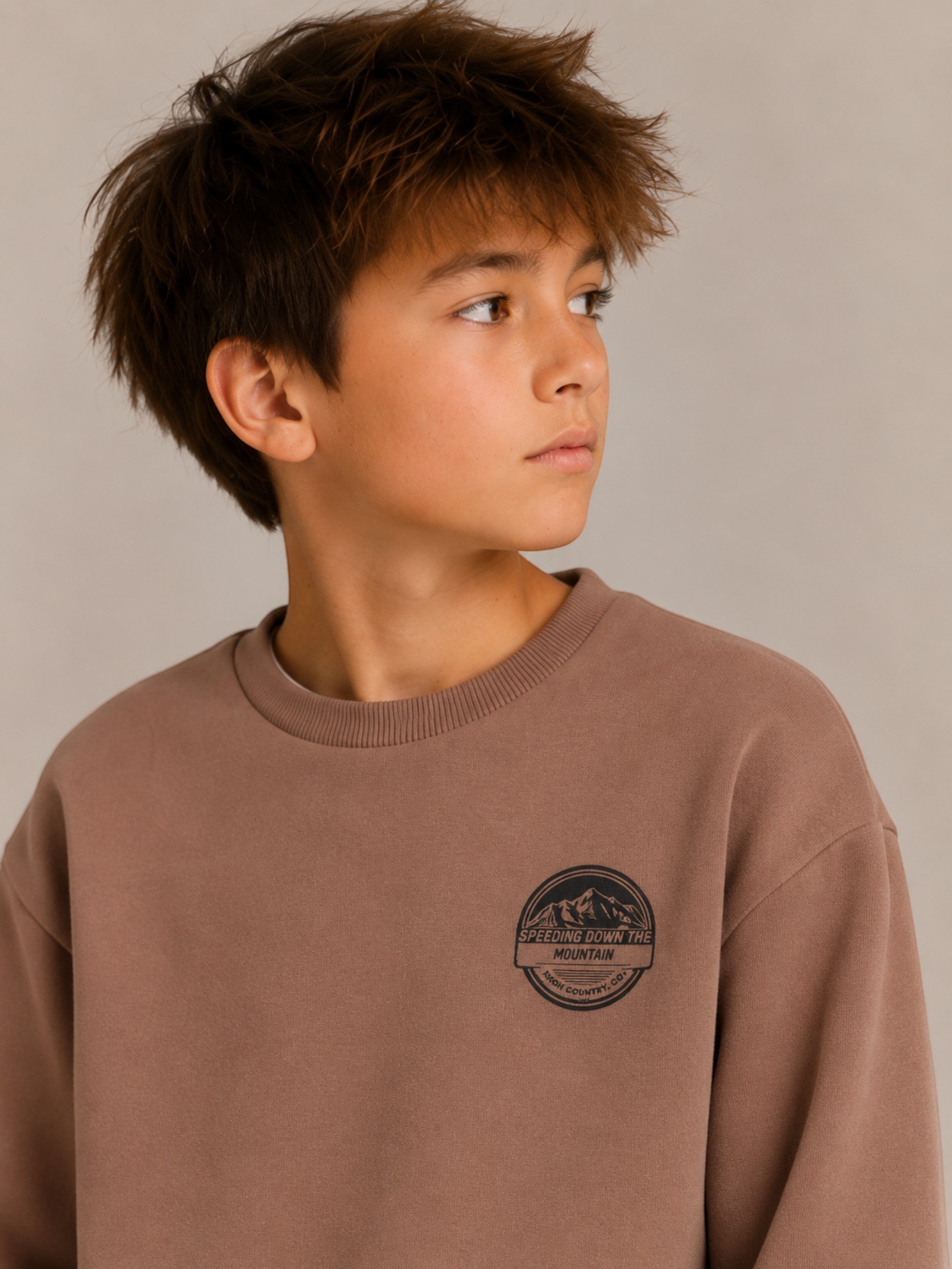 Boys Sweatshirt & Jogger Set (2-Piece)