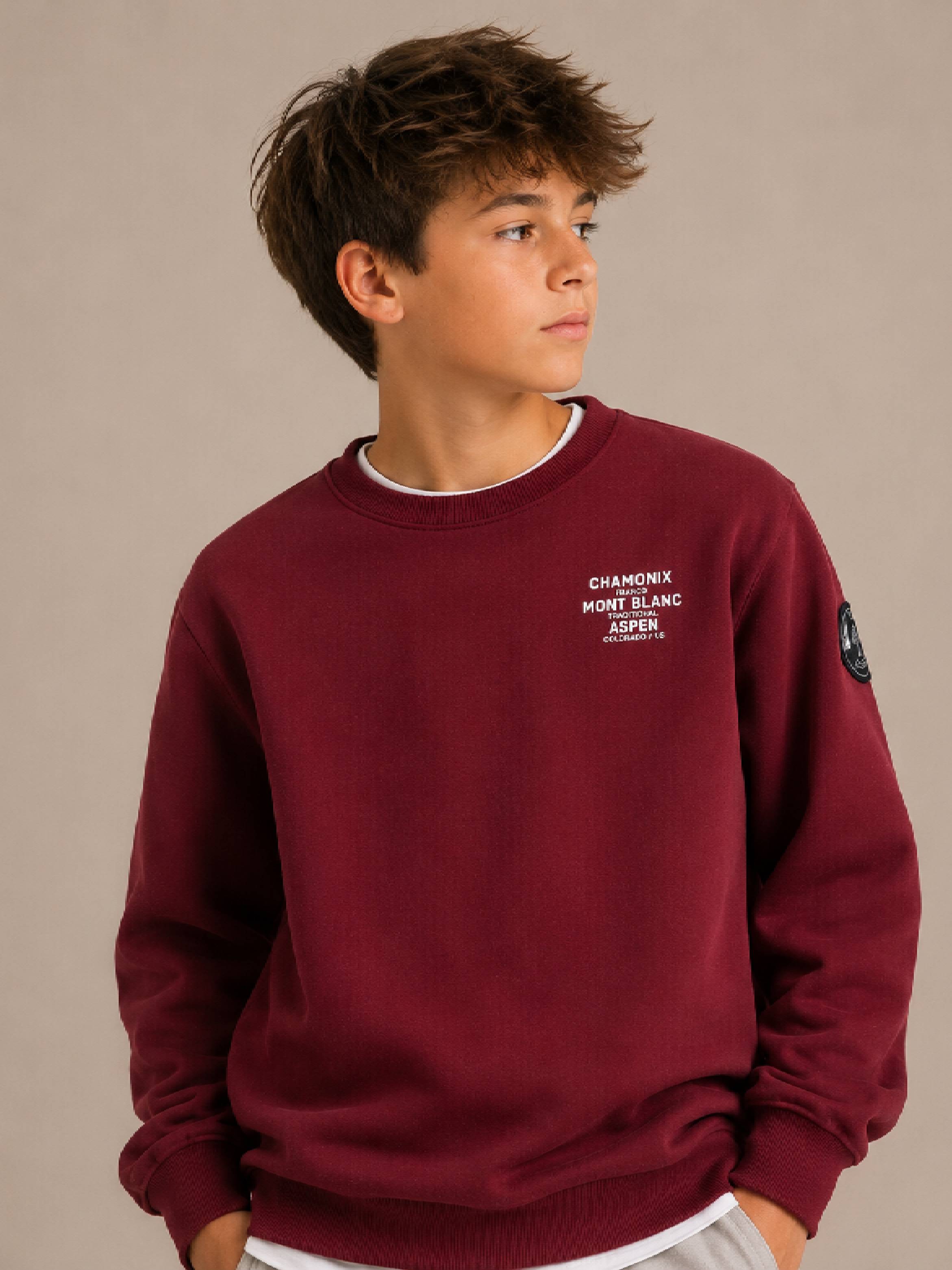 Boys Graphic Long Sleeve Fit Sweatshirt with Back Print