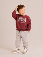 Boys 2Pc Print Sweatshirt Set