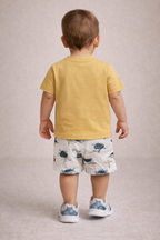 Boys 2 Pc Set ?Surfing Turtles? Tee & Drawcord Shorts Set